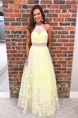 Princess Tulle A Line Appliques Long Prom Dress Party Dress DMK98